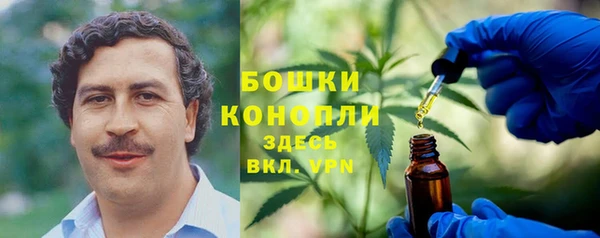 не бодяженный Лагань