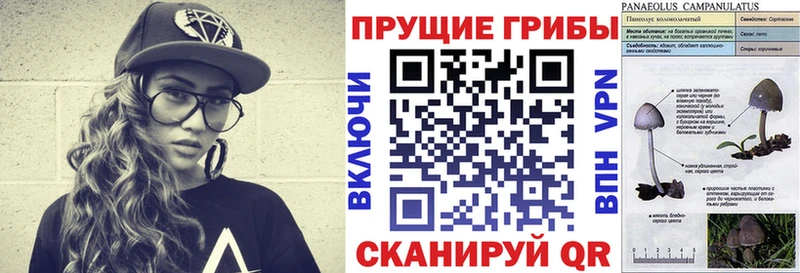 сайты даркнета формула  Таштагол  Псилоцибиновые грибы прущие грибы  мега как зайти 